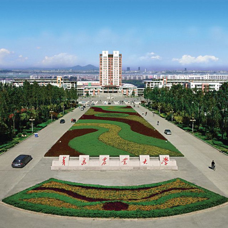 莱阳市城市总体规划图：故事叙述类